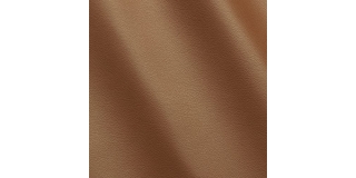 Express Fashion Seta Lion I744231