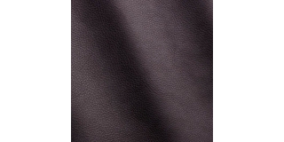 Express Fashion Seta Prugna D61524