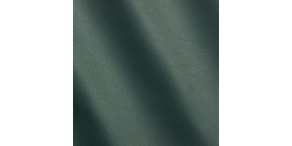 Express Fashion Seta Serpentine I681373