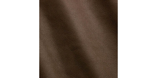 Express Fashion Seta Taupe D32605