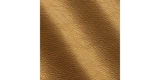 Express Fashion Shimmer Curcuma I591015