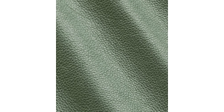 Express Fashion Shimmer Green I681156