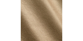 Express Fashion Shimmer Oro I532674