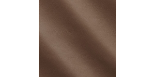 Express Fashion Skyline Lion MS640077