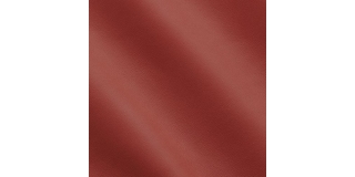 Express Fashion Skyline Parrot MS340042