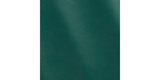 Express Fashion Trill Avocado MS450108