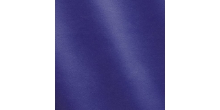 Express Fashion Trill Klein MS760131