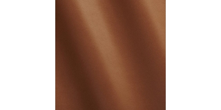 Express Fashion Trill Lion MS640077