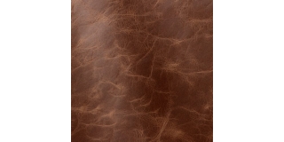 Express Fashion Tuscania Brown 2006