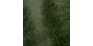 Express Fashion Tuscania Green 2003