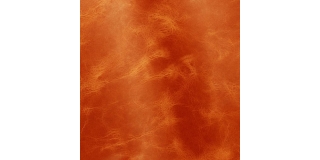 Express Fashion Tuscania Rust 2009