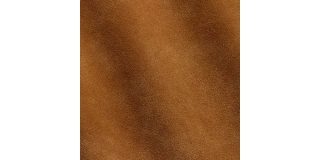 Express Fashion Vesuvio Lion MA480079