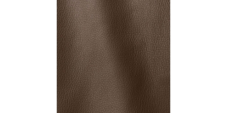 Express Fashion Vogue Apes 6021
