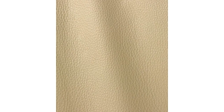 Express Fashion Vogue Ash 6026
