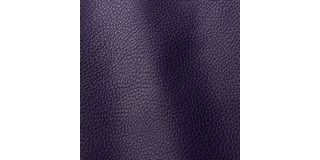 Express Fashion Vogue Aubergine 6020