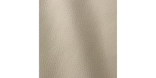 Express Fashion Vogue Butterfly 6002