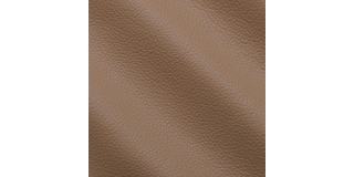 Express Fashion Vogue Cappuccino 6005