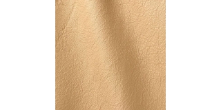 Express Fashion Vogue Champagne 6004