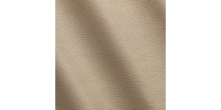 Express Fashion Vogue Cortado 6050