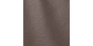 Express Fashion Vogue Heavy 6027