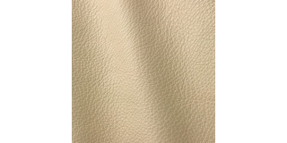Express Fashion Vogue Ice Cream 6003