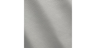 Express Fashion Vogue Iron 6040
