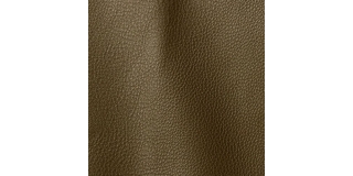 Express Fashion Vogue Jungle 6022