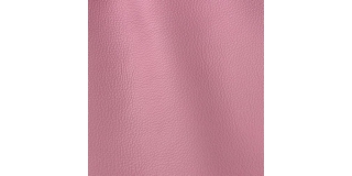 Express Fashion Vogue Lilium 6018