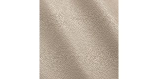 Express Fashion Vogue Lino 6039