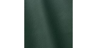 Express Fashion Vogue Loden 6023