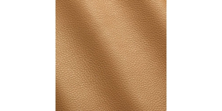 Express Fashion Vogue Miel 6044