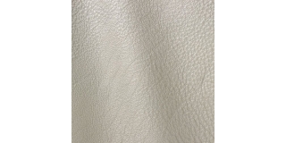 Express Fashion Vogue Moon 6024