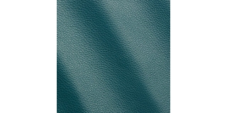 Express Fashion Vogue Peacock 6048