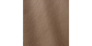 Express Fashion Vogue Praline 6010