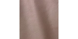 Express Fashion Vogue Safari 6009