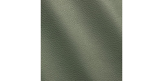 Express Fashion Vogue Sage 6035