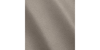 Express Fashion Vogue Sea Otter 6041