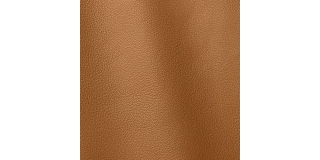 Express Fashion Vogue Siena 6008