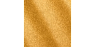 Express Fashion Vogue Sunflower 6043