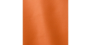 Express Fashion Vogue Sunset 6012