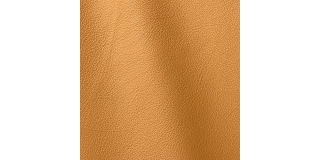 Express Fashion Vogue Tuscany 6006