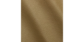 Express Fashion Vogue Yeti 6036