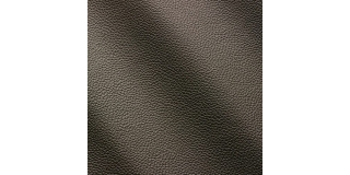 Express Fashion Zenith Acciaio 9022