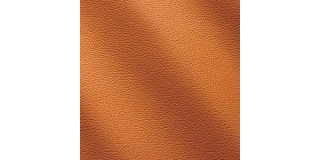 Express Fashion Zenith Arancio 9037