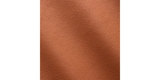 Express Fashion Zenith Avana 9010
