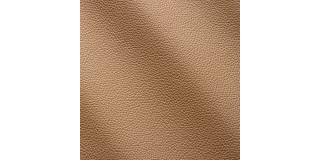 Express Fashion Zenith Beige 9040