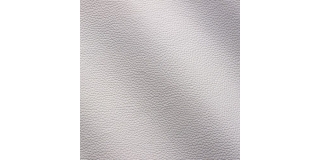 Express Fashion Zenith Bianco 9000
