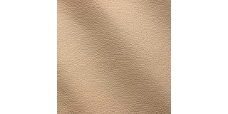 Express Fashion Zenith Cammello 9047