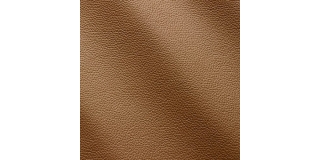 Express Fashion Zenith Cappuccino 9028