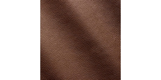 Express Fashion Zenith Castagna 9014